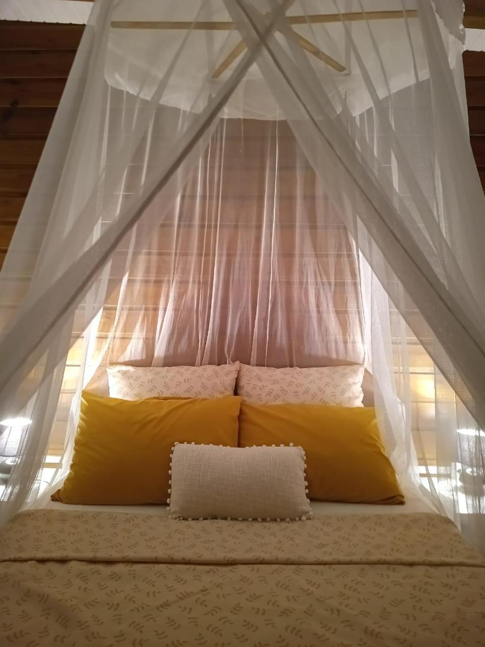 Chez Senorita Appartement *